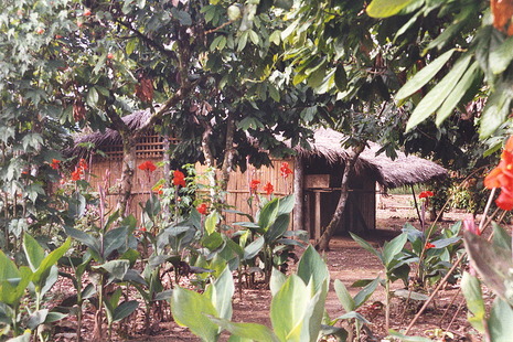 Hut