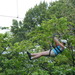 Dsc00953_thumb
