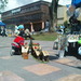 Dsc00153_thumb