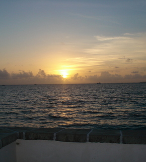 Dsc03458_medium