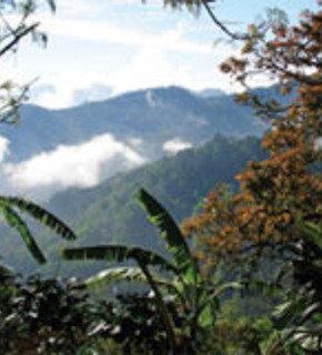 Ecuador_medium