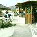 Dsc00172_thumb