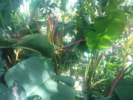 Dsc00179