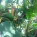 Dsc00179_thumb