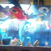 Dsc00247_thumb
