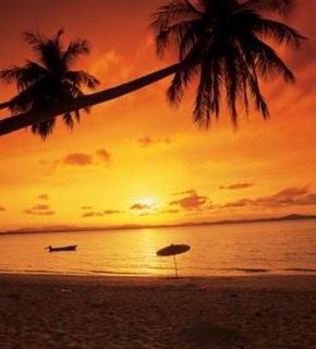 Beach_sunset-13462_medium