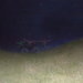 Wye_downs_thumb