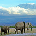 Tanzania