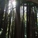 N655951715_226305_3543_thumb