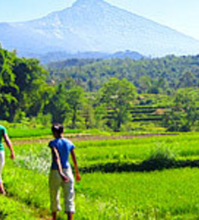 Indonesia_a_medium