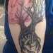 Colored_tree_thumb
