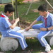 Shenzhen_595_thumb