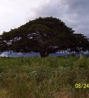 100_0107_medium