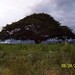 100_0107_thumb
