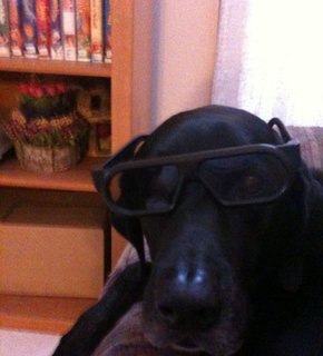 Blueglasses_medium