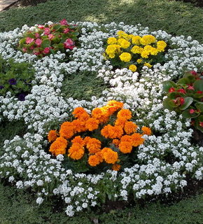 06122011638_medium