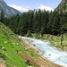 Northern_thumb