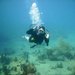 Seabottom_thumb