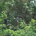 100_0275_thumb