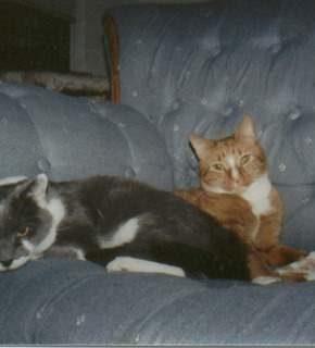 Vinnie_and_maccer_in_kck_october_1997_medium