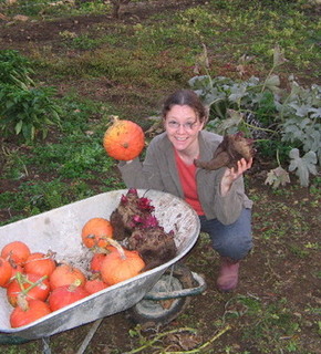 20051031_pumpkin_harvest_2_y_medium