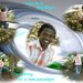 Macmajor_thumb