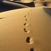 Istock_00000028004small_thumb
