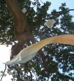Dsc02623_medium