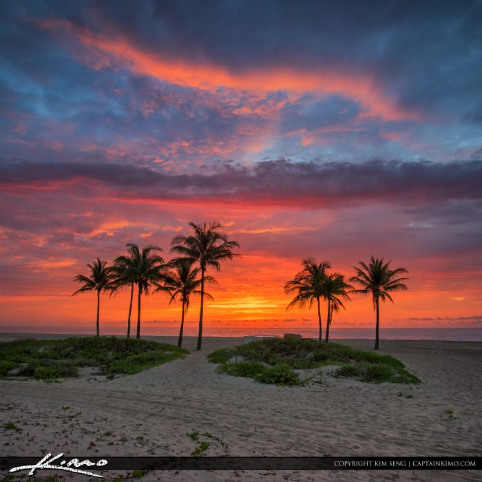 Explosive Sunrise Colors Over Cocnut Trees at Beach Square