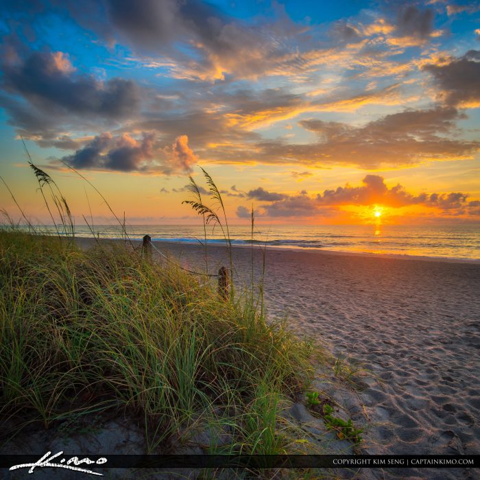 Beautiful Sunrise Hollywood North Beach Park
