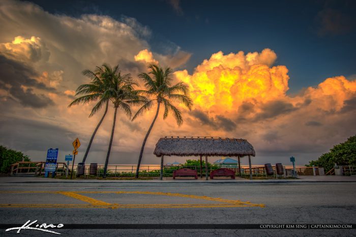 Juno Beach Park