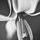 Dogtooth Lily by Bob Shull