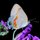 Macro Butterfly by Tom Sisemore