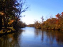 the creek by TERESA WALDRON
