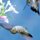 Hummingbird Stunt Flying by Tom Sisemore