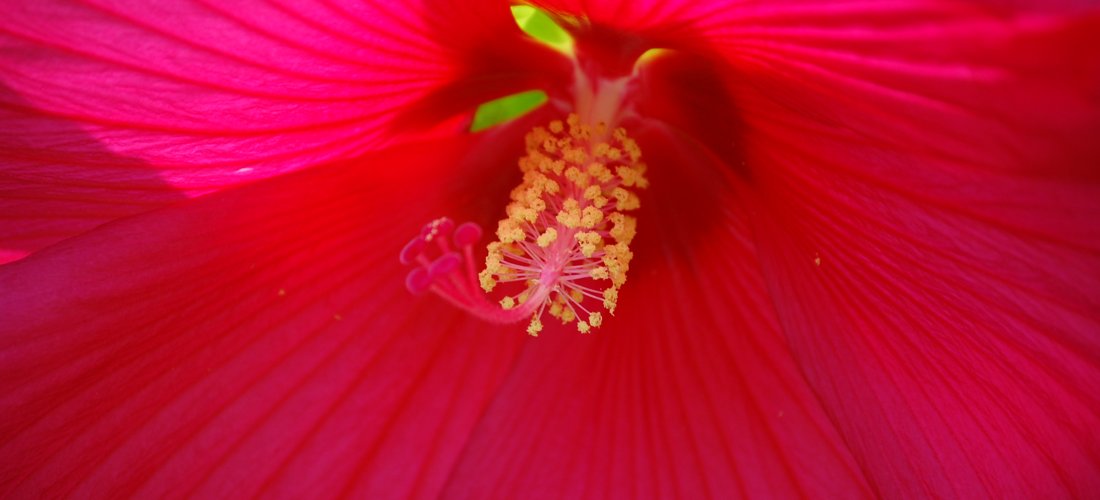 Beauty in the morning by Joe Goble