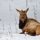 Nap Time by Bob Shull