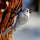 Tufted Titmouse by Tom Sisemore