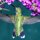 Hummingbird  by Tom Sisemore