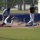 Out at homeplate by Marsha Hawkins