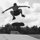 I'm on Board. by Reid Mitchell