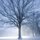 Snowfall in Overton Park by Nathan Berry