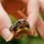 Just hatched! by Melissa  Conn 