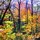 Fall Silhouette by John Harrison