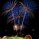 Labor Day Finale 1 of 3 by John Harrison
