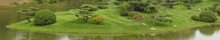 Lush Greenery by William Sullivan