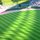 Sunlighting the Playing Field by Debbie Davidson