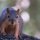 Awww Nuts Another Photographer!  by Gregory Auberry