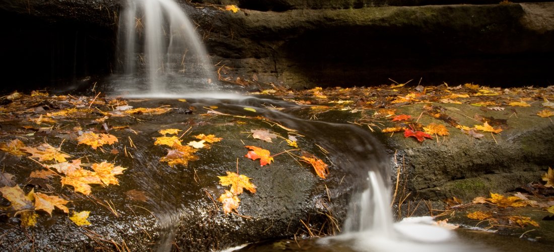 Matthiessen State Park in Autumn by Josh Merrill