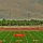 50 Yard Line by David Neesley